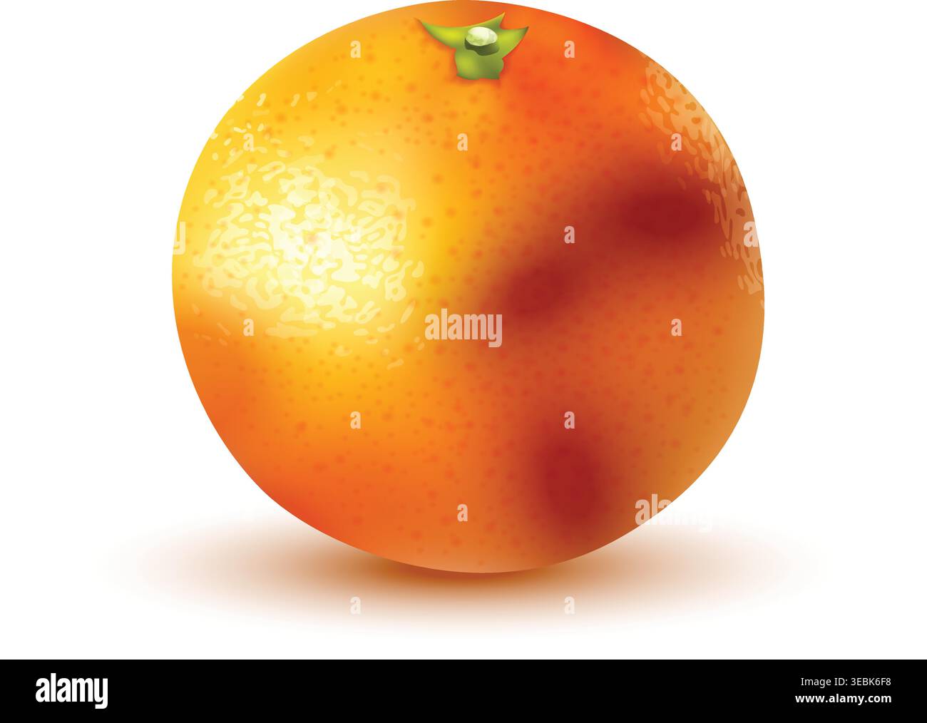 Realistic orange fruit composition Vibrant orange segment Stock Vector