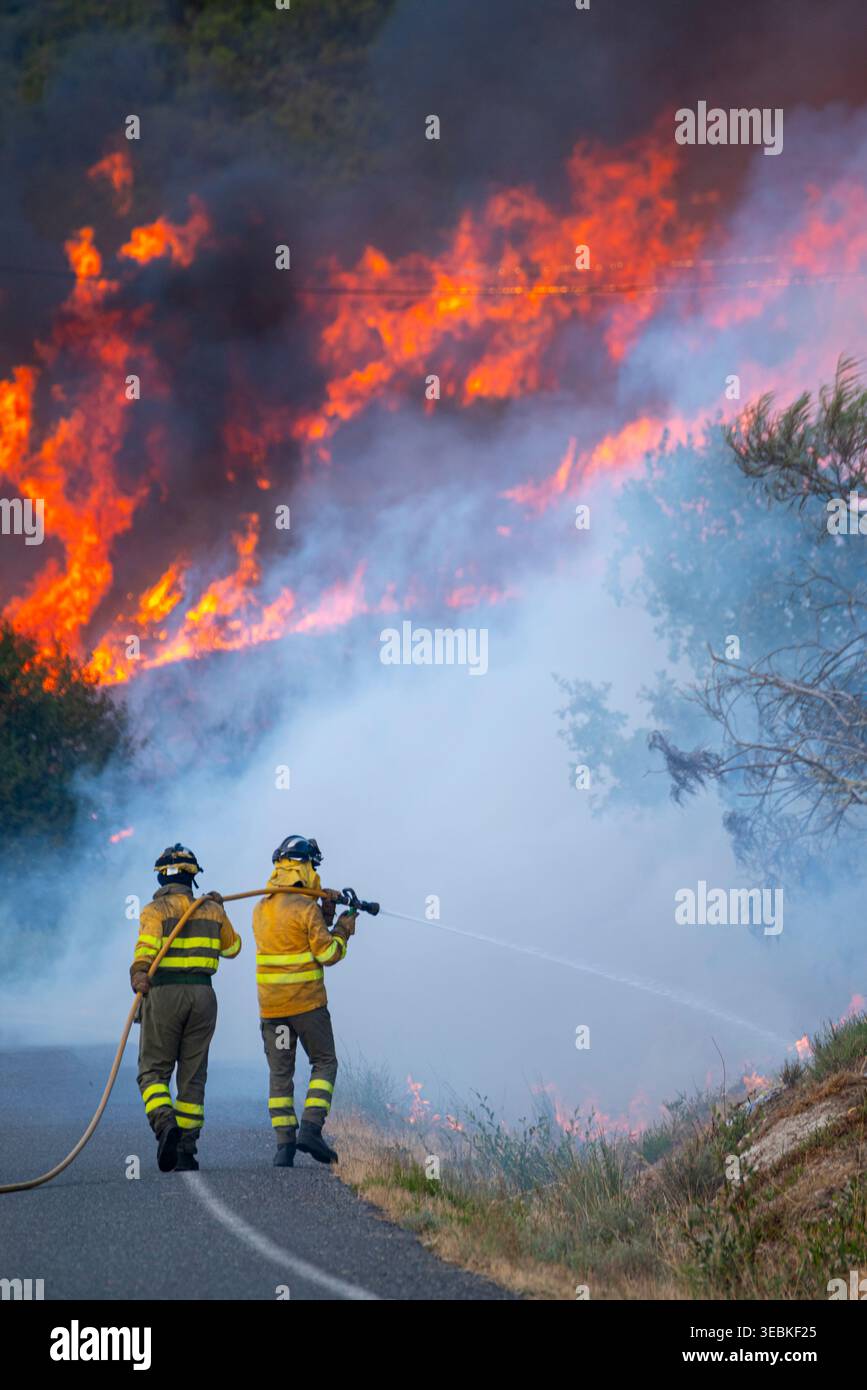Two firefighters fighting a large forest fire The Concept of teamwork ...