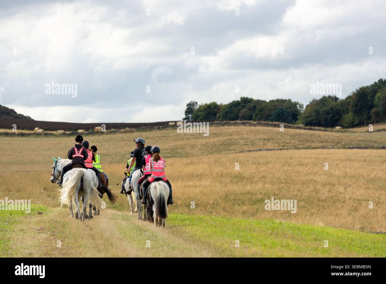A group of children and adults engaged in horse trekking, a popular outdoor activity for exploring rural landscapes Stock Photo