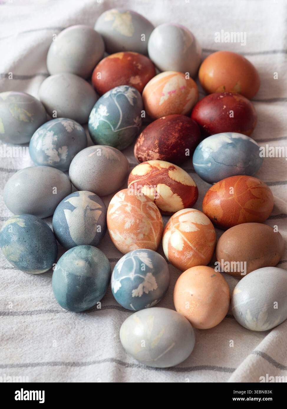 Dyed Easter Eggs with Floral Imprints on White Linen Stock Photo