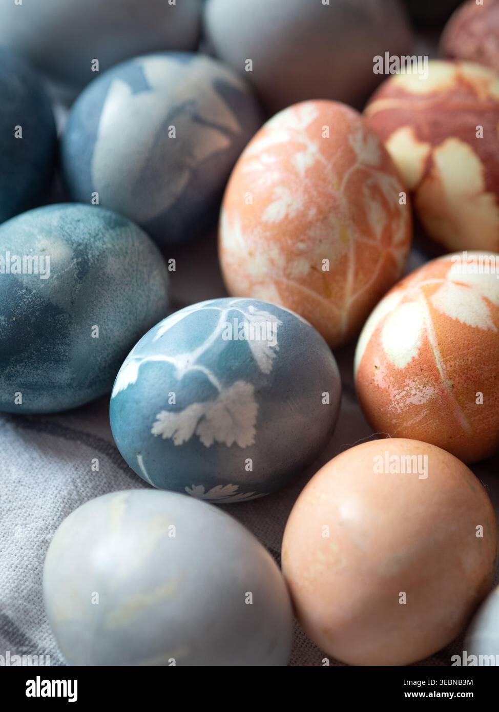 Blue and Orange Dyed Easter Eggs with Floral Imprints Stock Photo