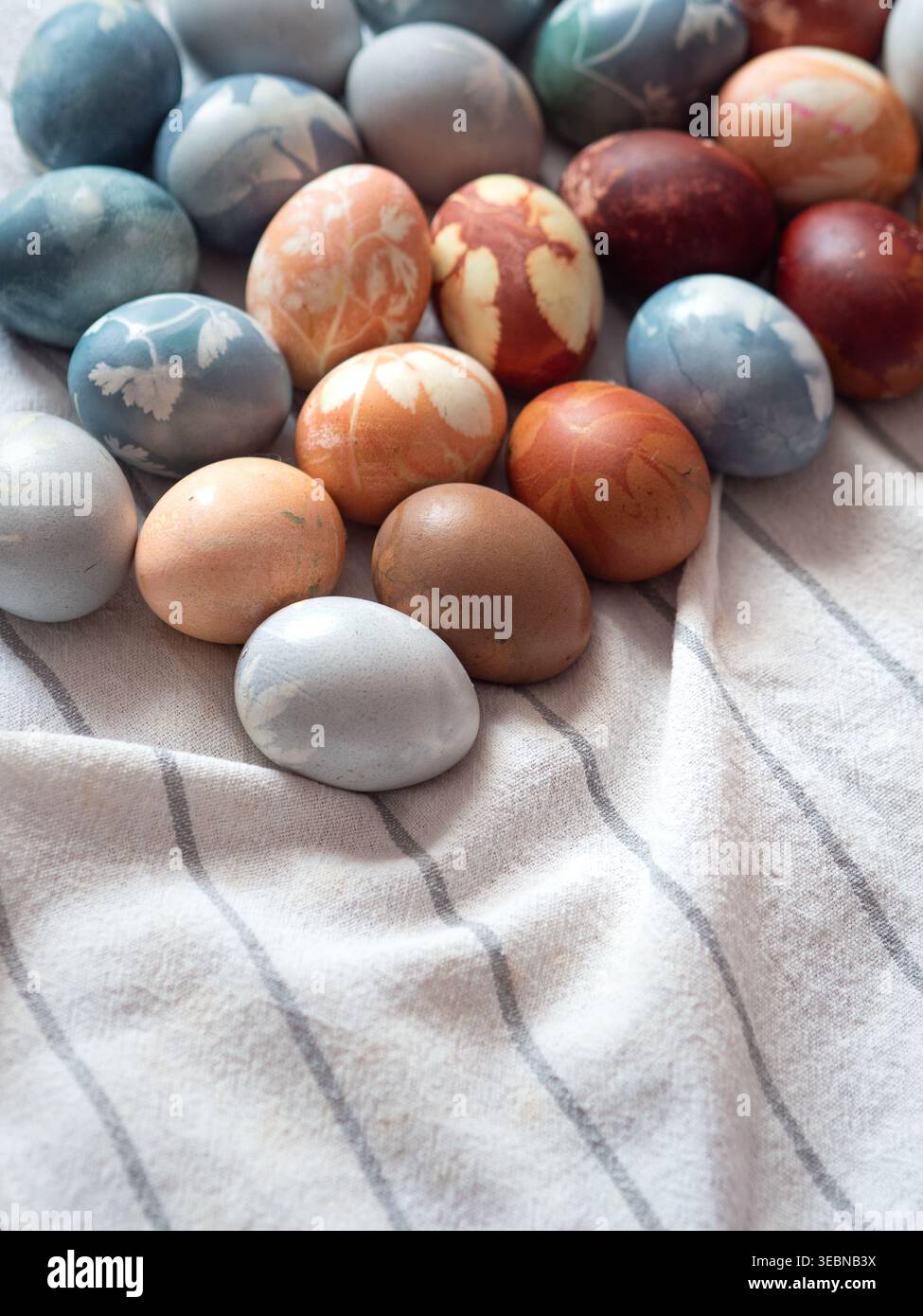 Dyed Easter Eggs with Floral Imprints on White Linen Stock Photo
