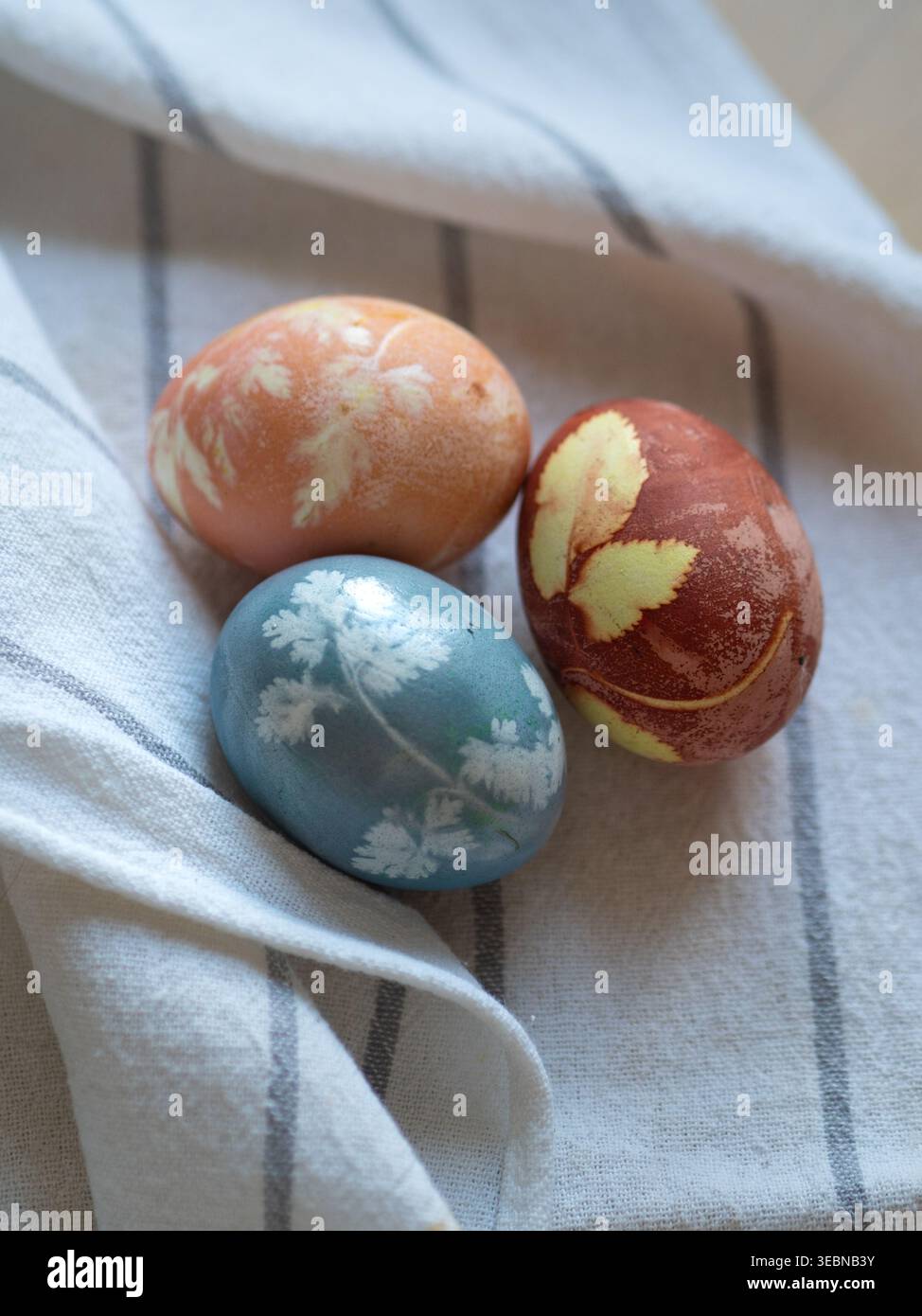 Three Naturally Dyed Eggs With Floral Imprints on White Linen Stock Photo