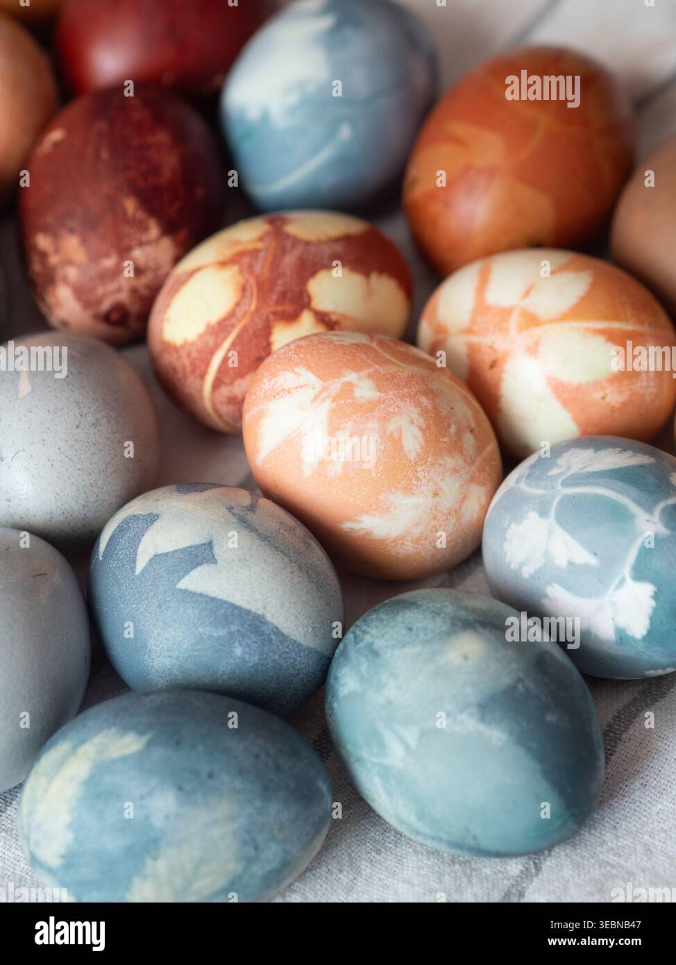 Naturally Dyed Easter Eggs with Floral Imprints Stock Photo
