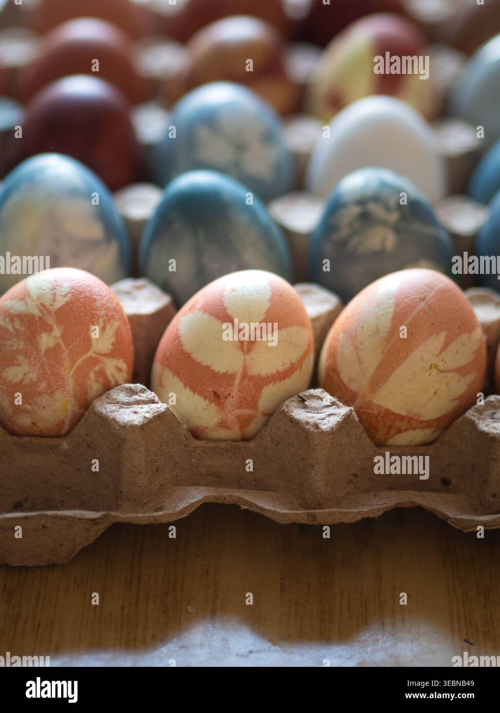 Dyed Easter Eggs with Floral Imprints in Egg Carton Stock Photo