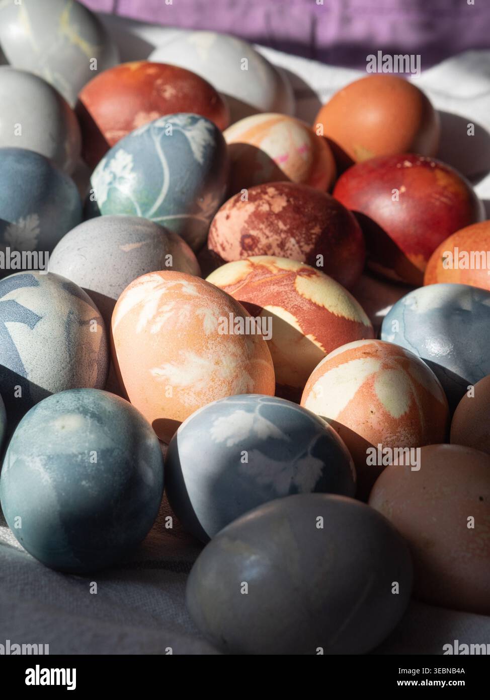 Dyed Easter Eggs with Floral Imprints in Sunshine Stock Photo