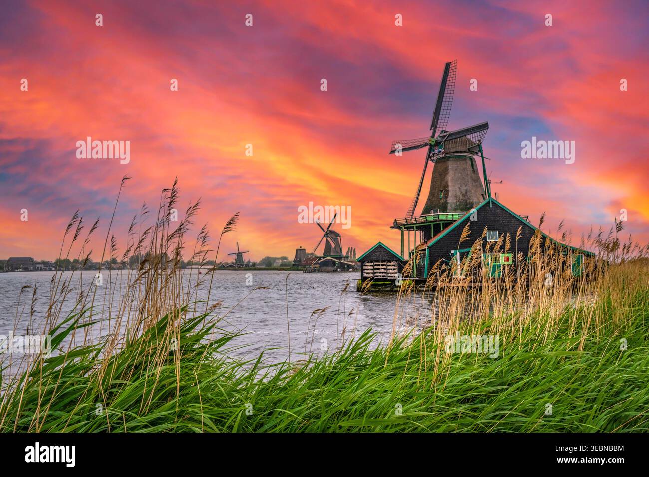 Historic windmills at sunset in Zaanse Schans Stock Photo