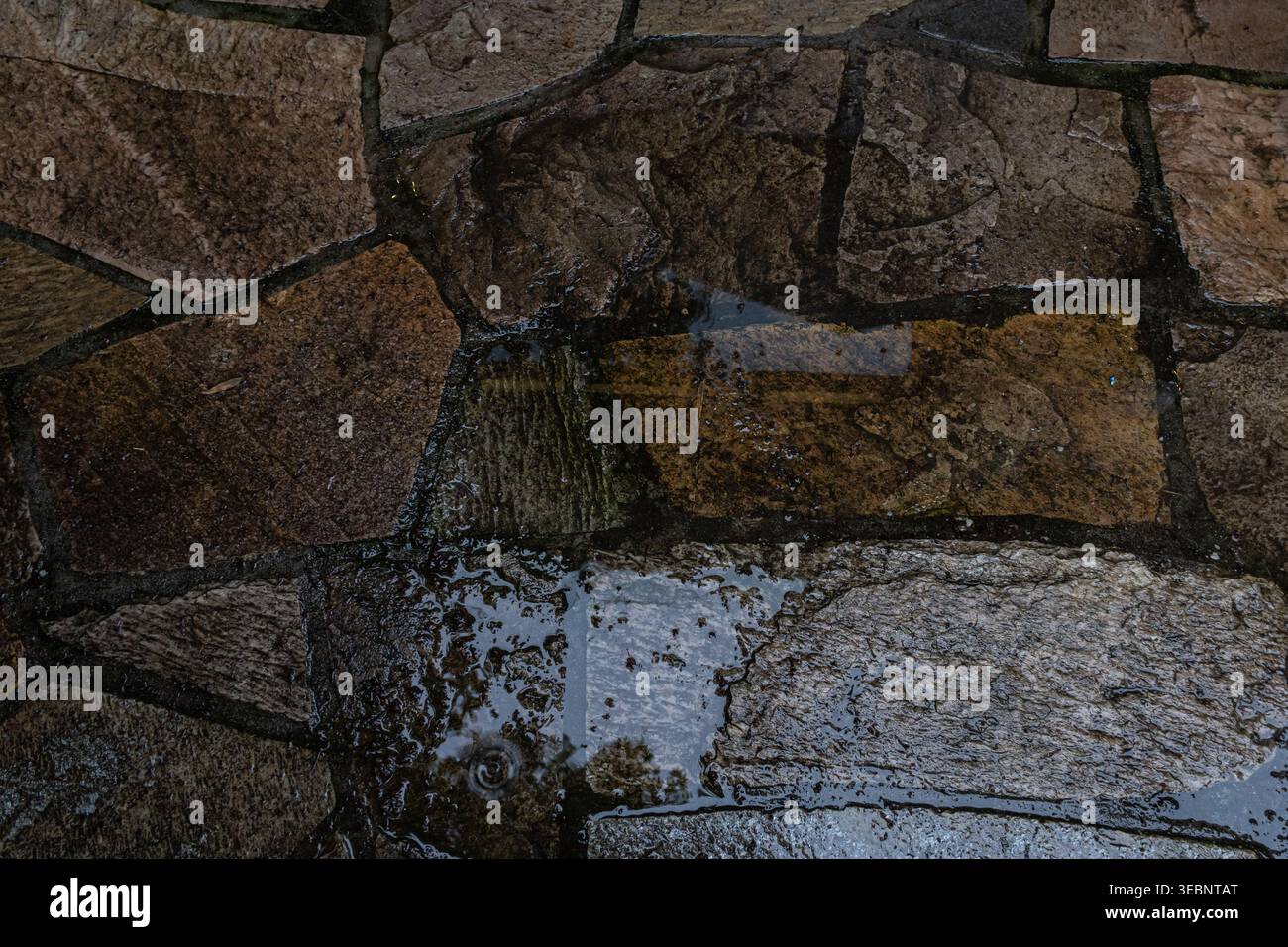 Wet Stone Pavement Texture with Rain Puddles Stock Photo