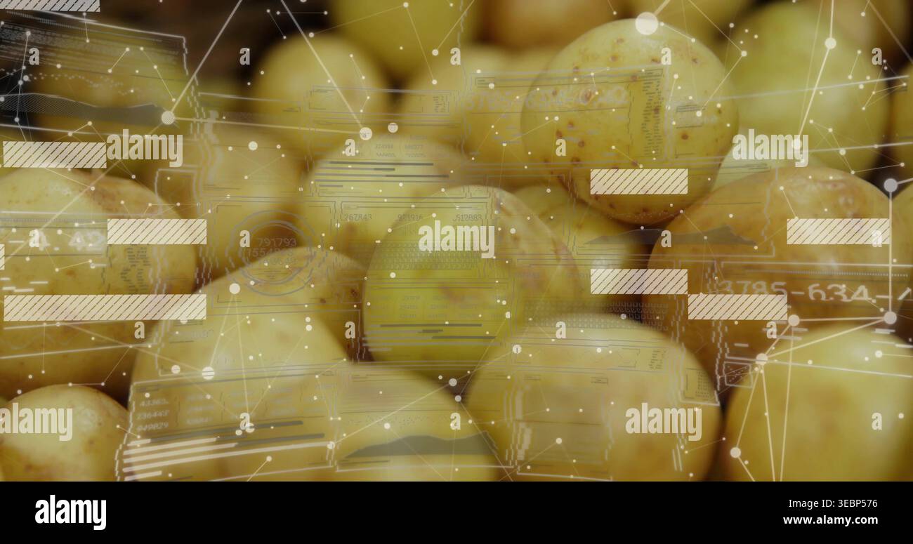 Displaying cluster of baby potatoes at market bin, showing network lines and translucent UI panels Stock Photo