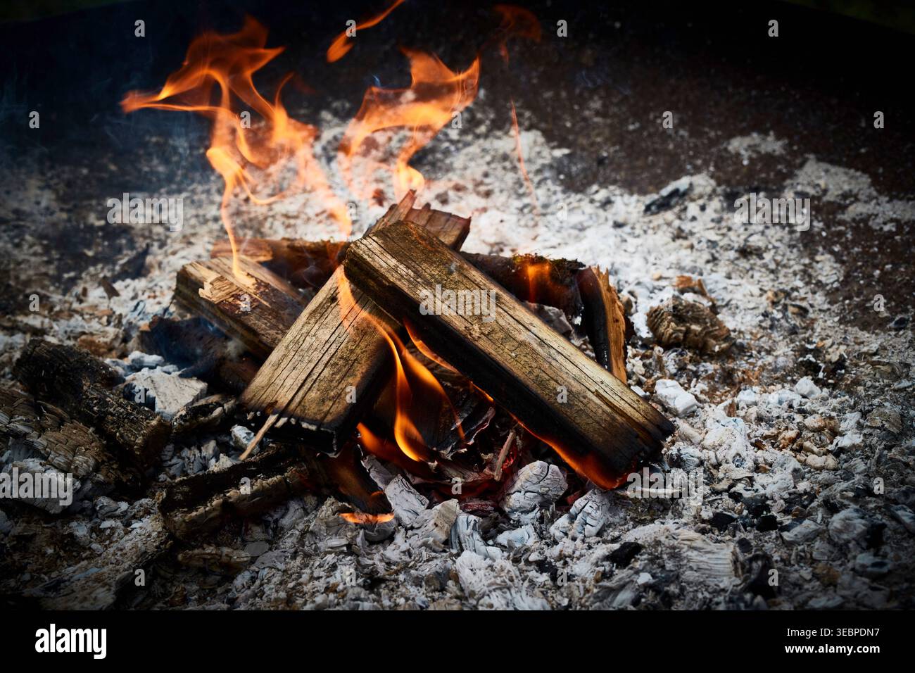 Fire: Burning wood in a fire bowl Stock Photo