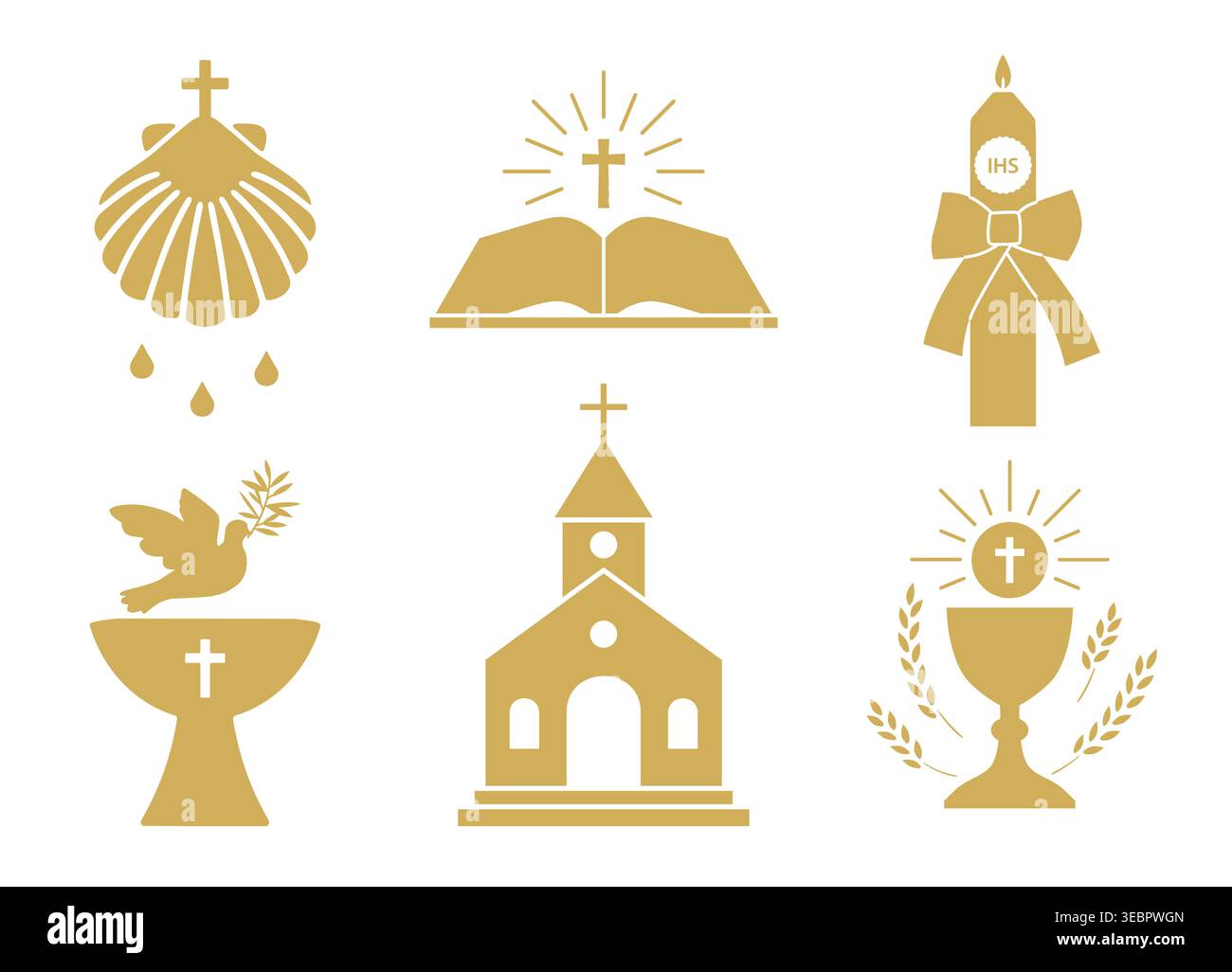 Baptism Shell Vector
