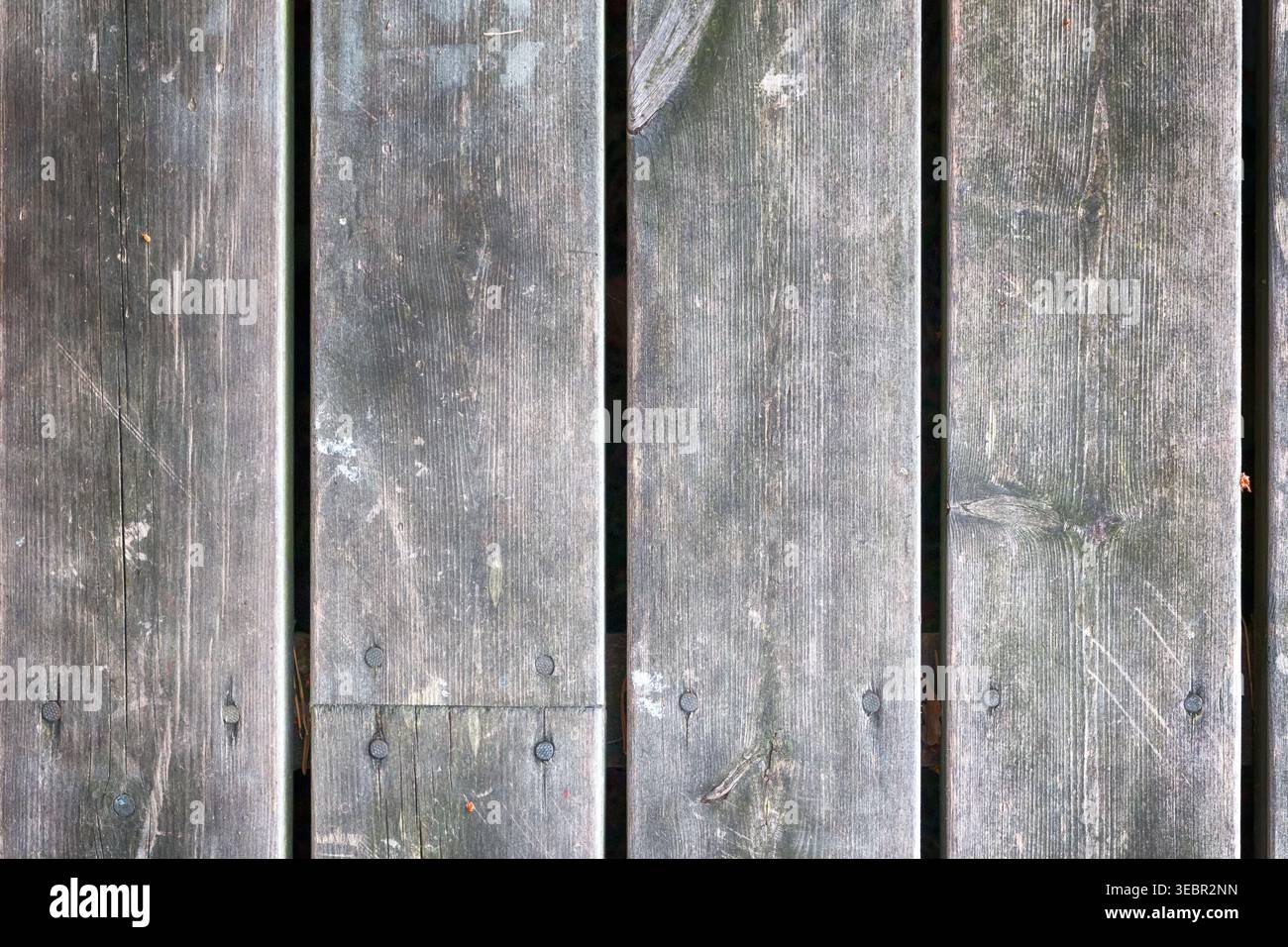Grey wood texture wall for background. HDR. Stock Photo