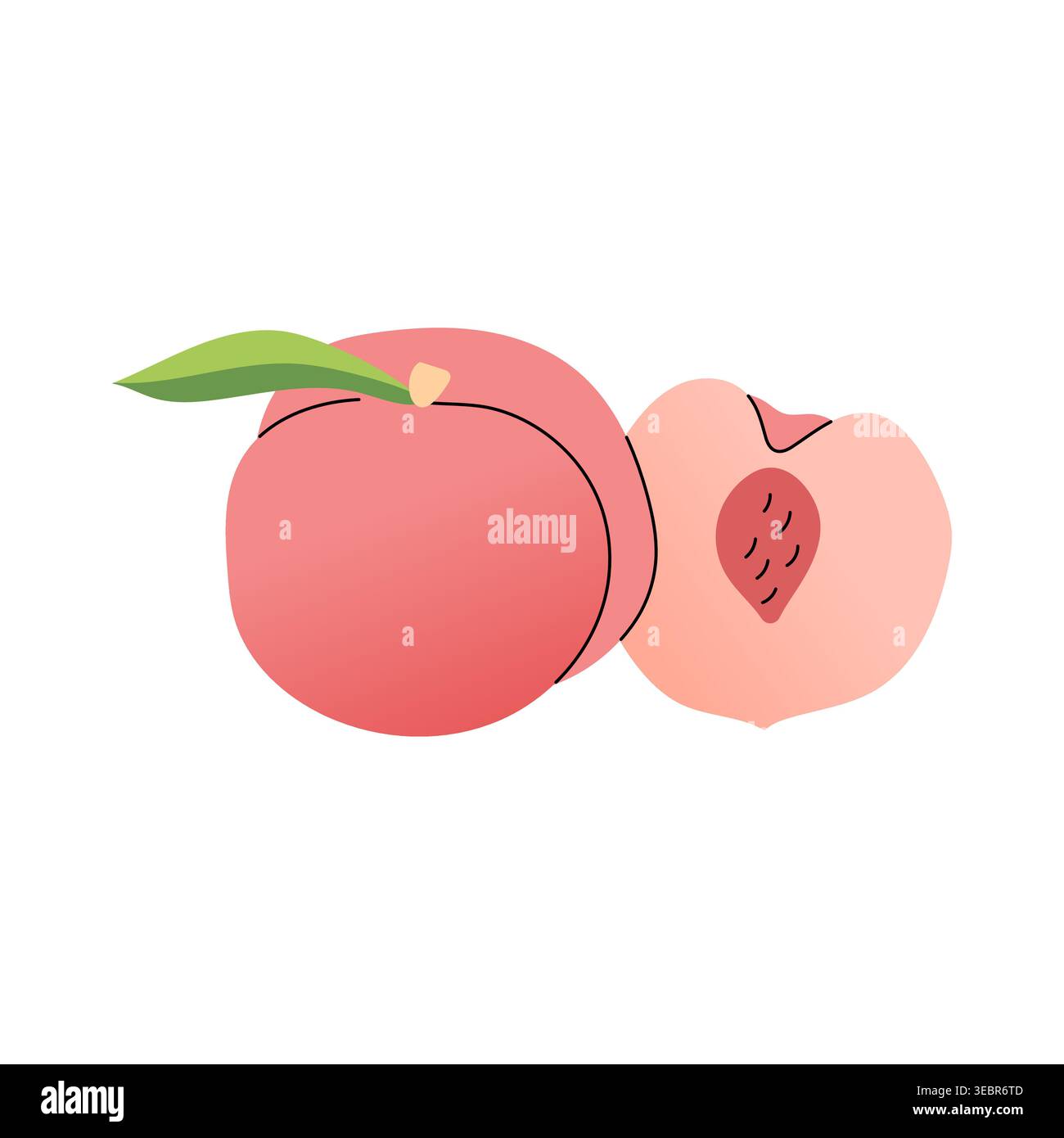 Ripe peach fruit with leaf and half vector graphic flat Stock Vector