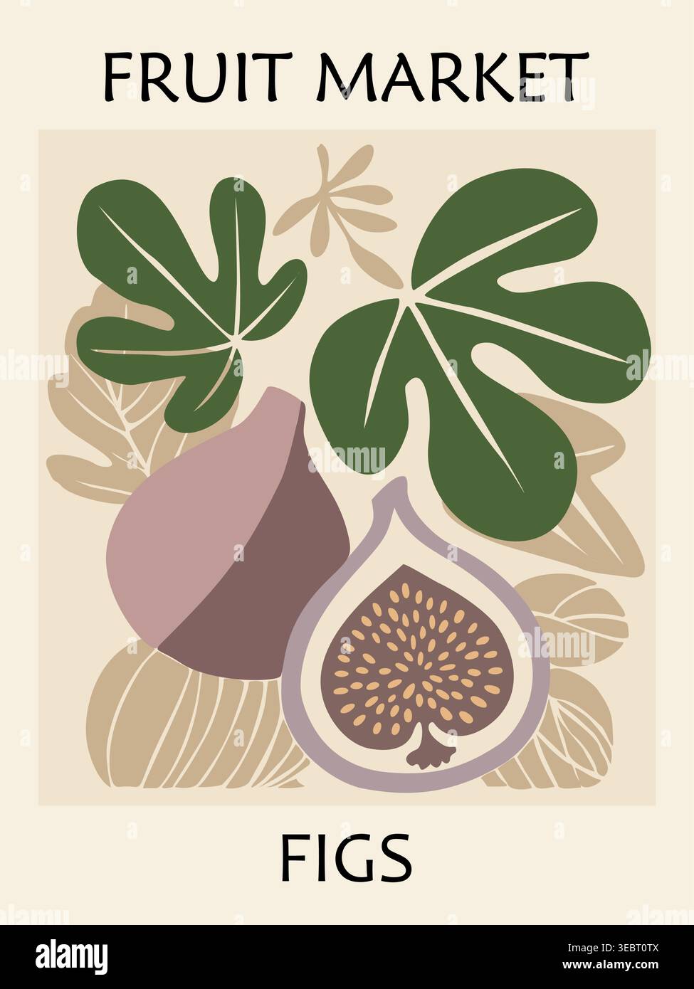Retro fruit market poster with stylized figs  Stock Vector