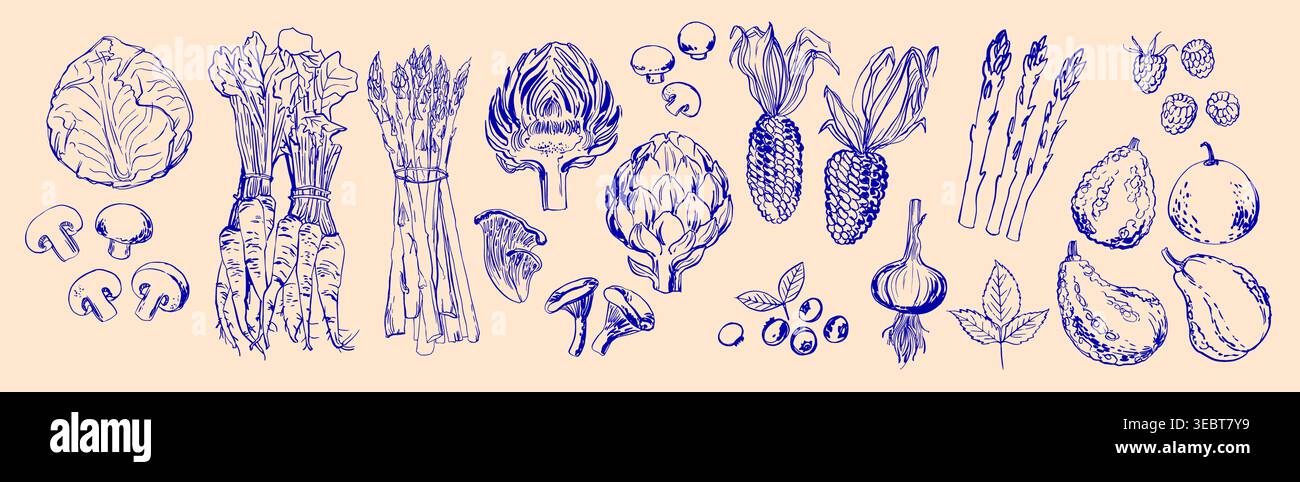 Hand Drawn Colorful Vegetables - Sketch Style Vector Set Stock Vector