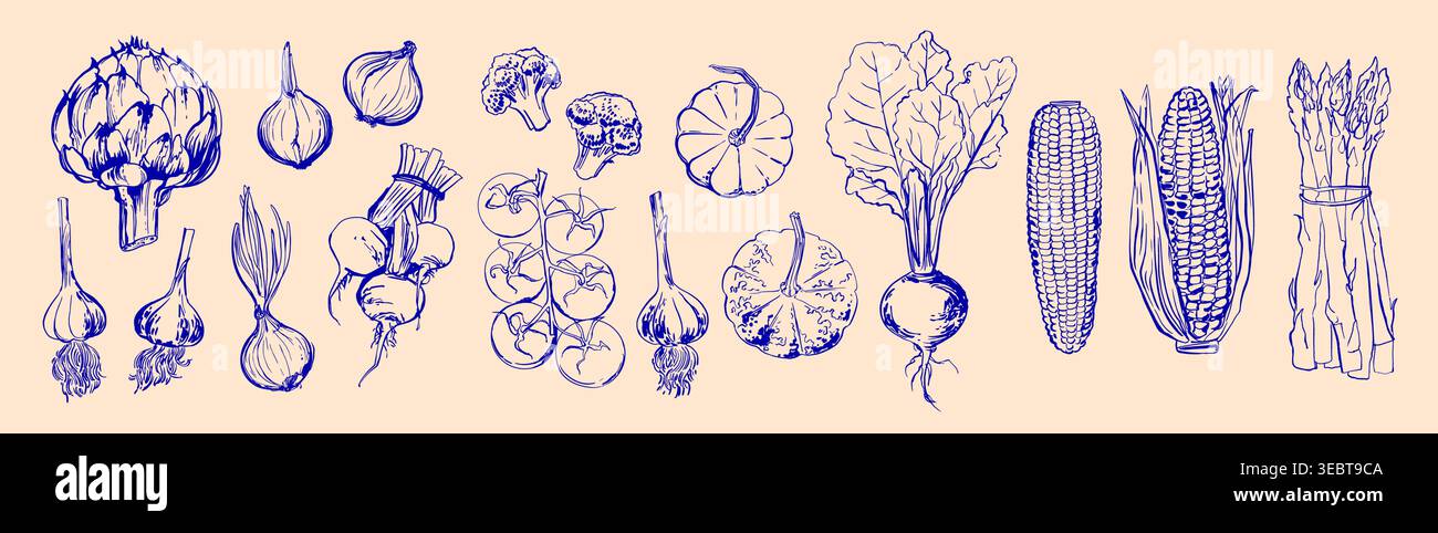 Hand Drawn Colorful Vegetables - Sketch Style Vector Set Stock Vector