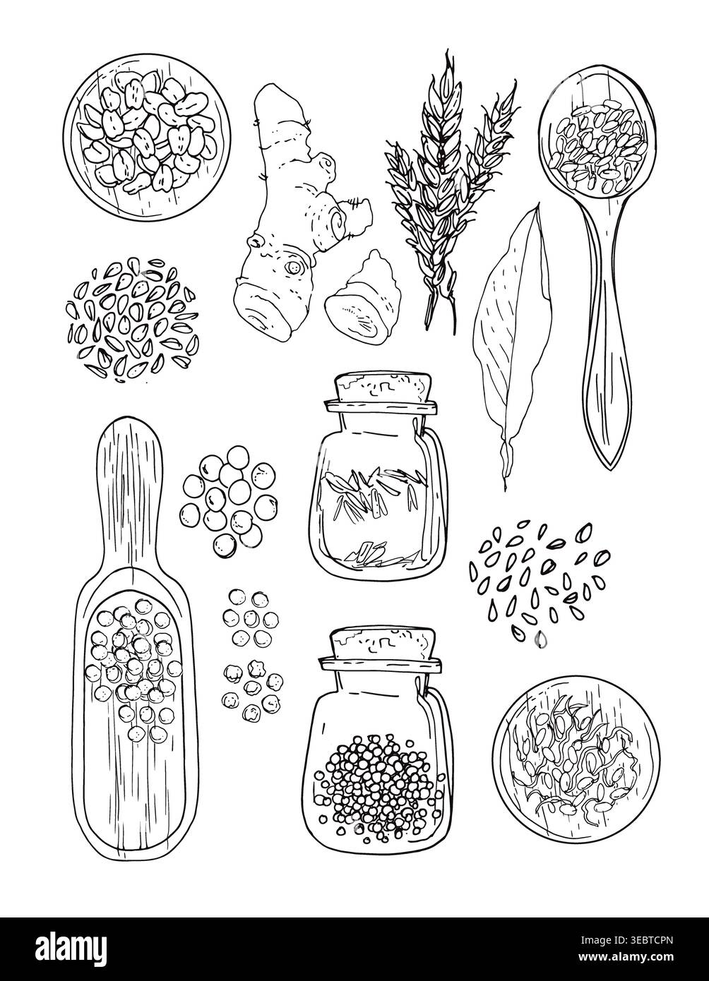 Vector sketch food. Vegetables and herbs. Spices in glass jars, wooden boat Stock Vector