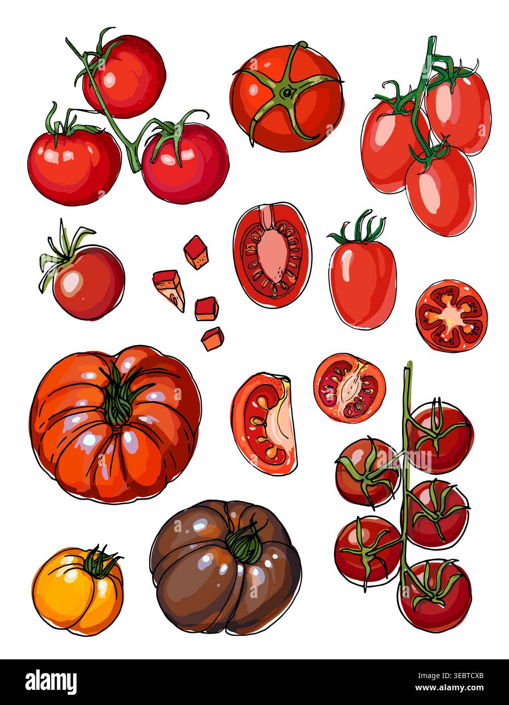 Vector sketch food. Tomatoes, cherry Stock Vector