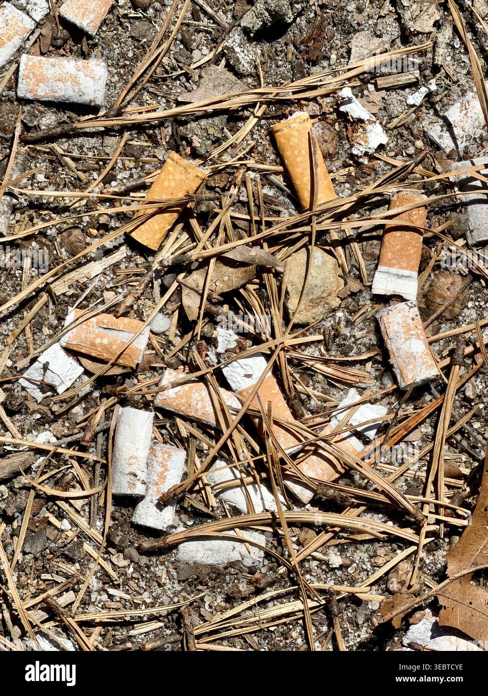 Cigarette waste hi-res stock photography and images