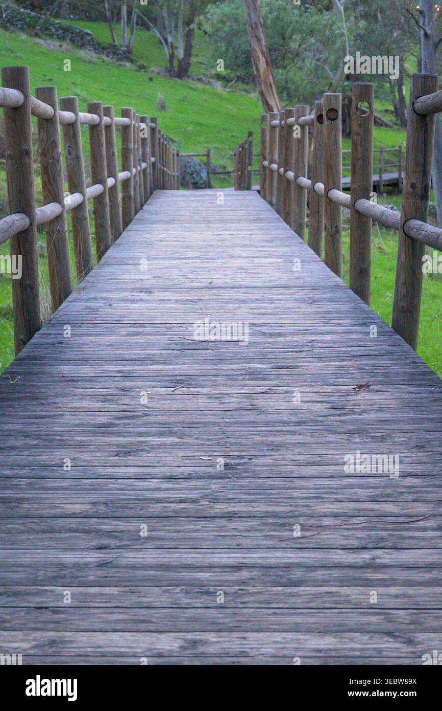 Rustic Boardwalk Railing Timber boardwalk through green hi-res stock photography and images - Alamy