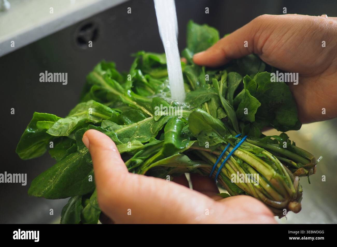 Washing fresh greens in the kitchen sink Stock Photo