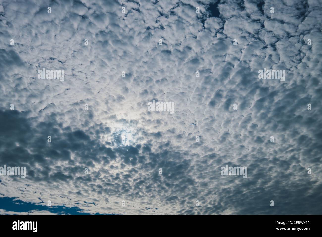 A wide, full-frame view of a blue sky filled with a dense pattern of small, white altocumulus clouds. The sun peeks through the textured cloud layer, Stock Photo