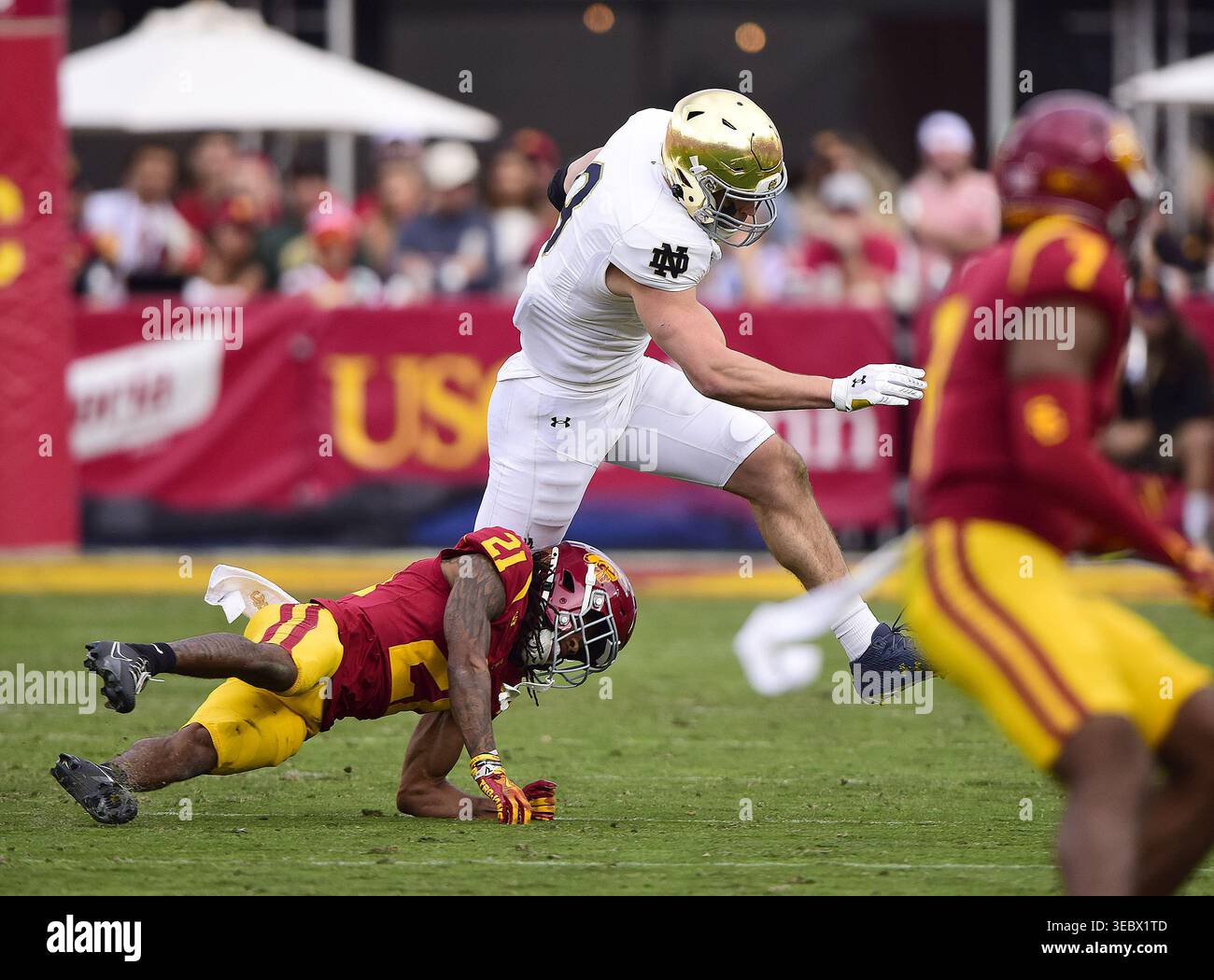 Eli raridon notre dame hi-res stock photography and images - Alamy