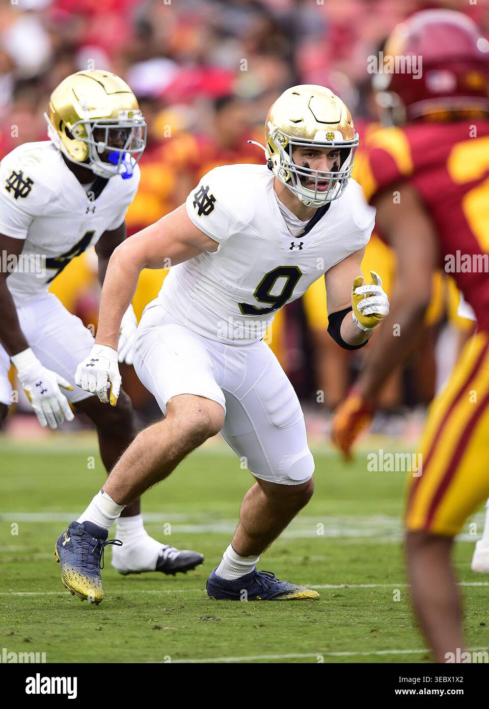 Eli raridon notre dame hi-res stock photography and images - Alamy
