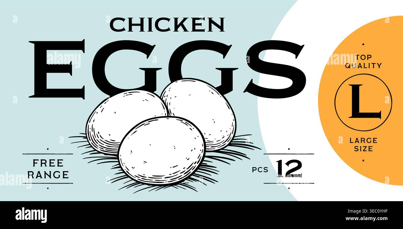 Chicken, hen with nest, eggs. Vintage artwork Stock Vector