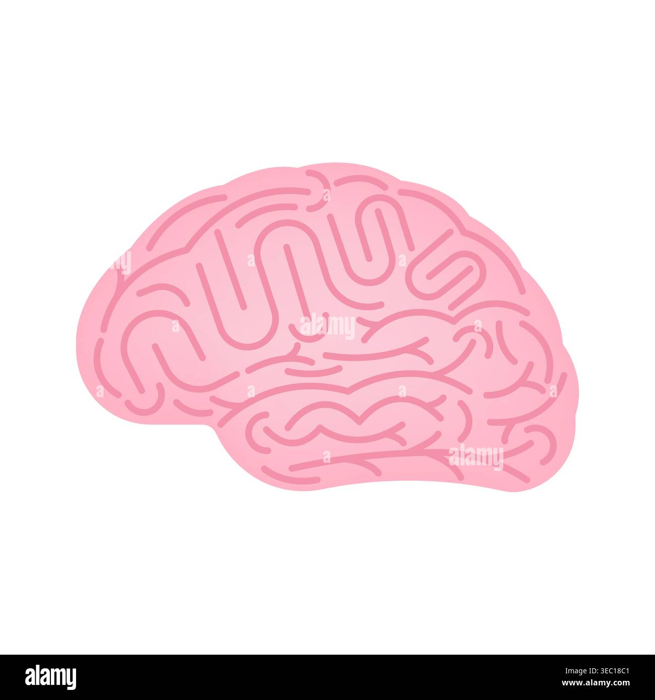 Brain. Human Brain. Vector Illustration Isolated on White Background. Stock Vector