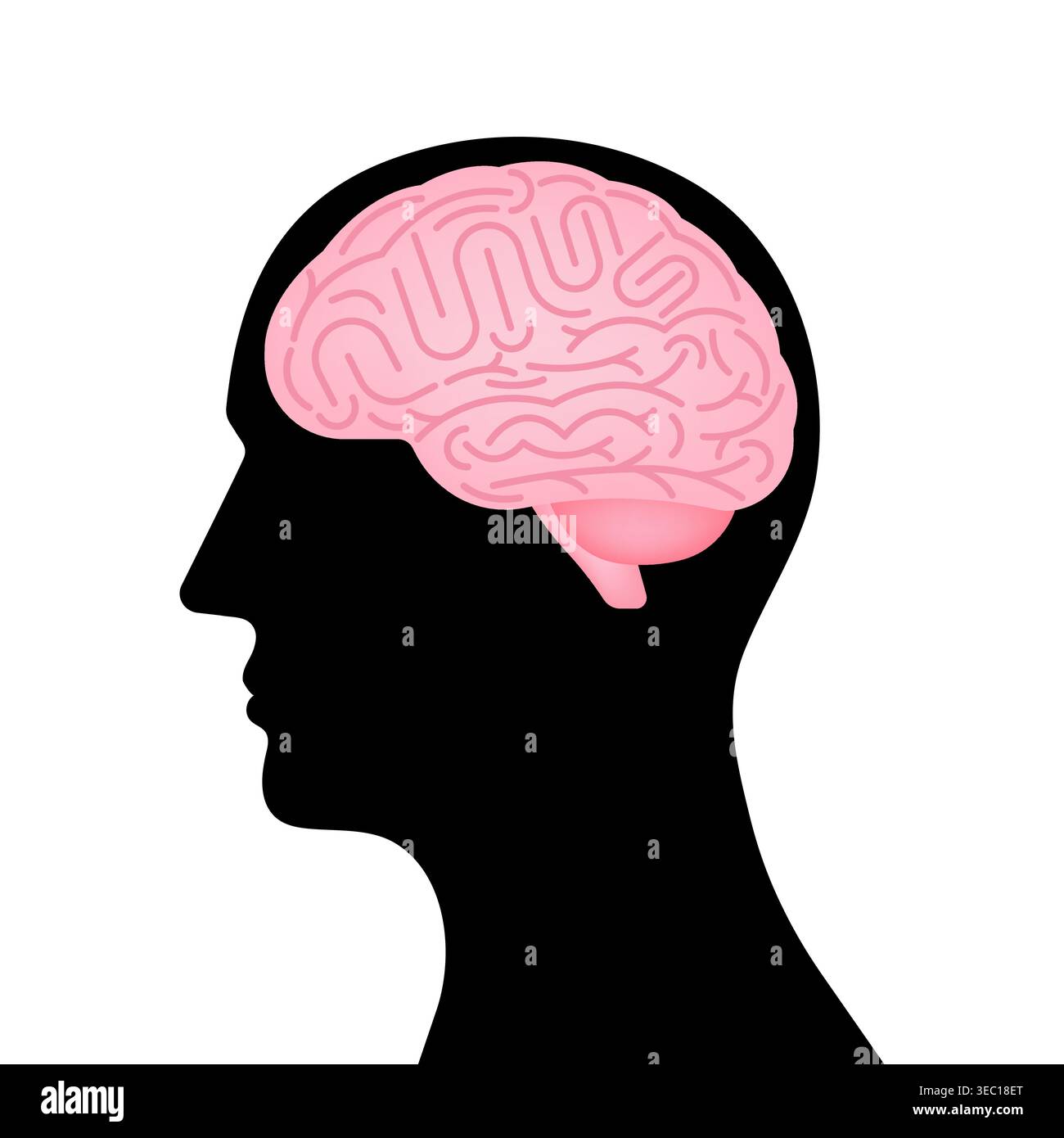 Brain. Head with Human Brain. Vector Illustration Isolated on White Background. Stock Vector