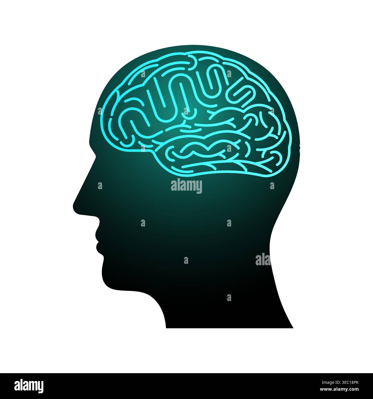 Brain. Head with Human Brain. Vector Illustration Isolated on White Background. Creativity and Intelligence Concept. Stock Vector