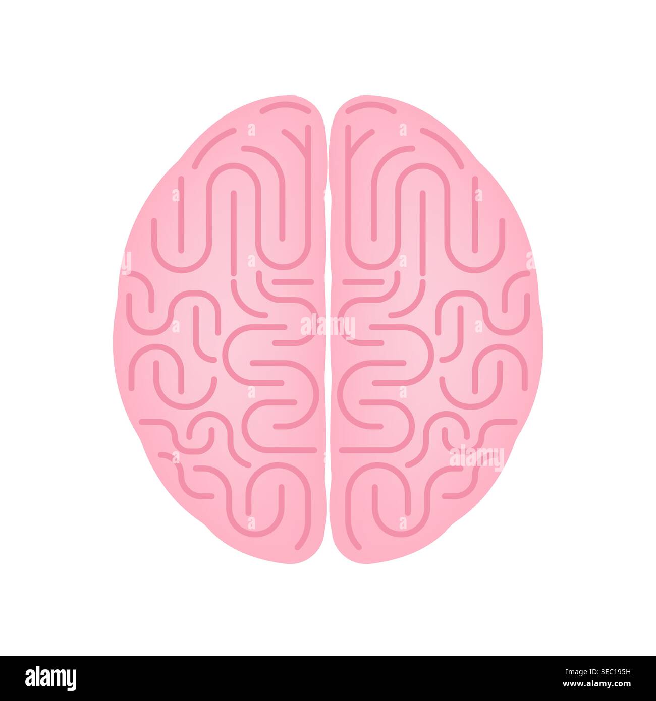 Brain. Human Brain. Vector Illustration Isolated on White Background. Stock Vector