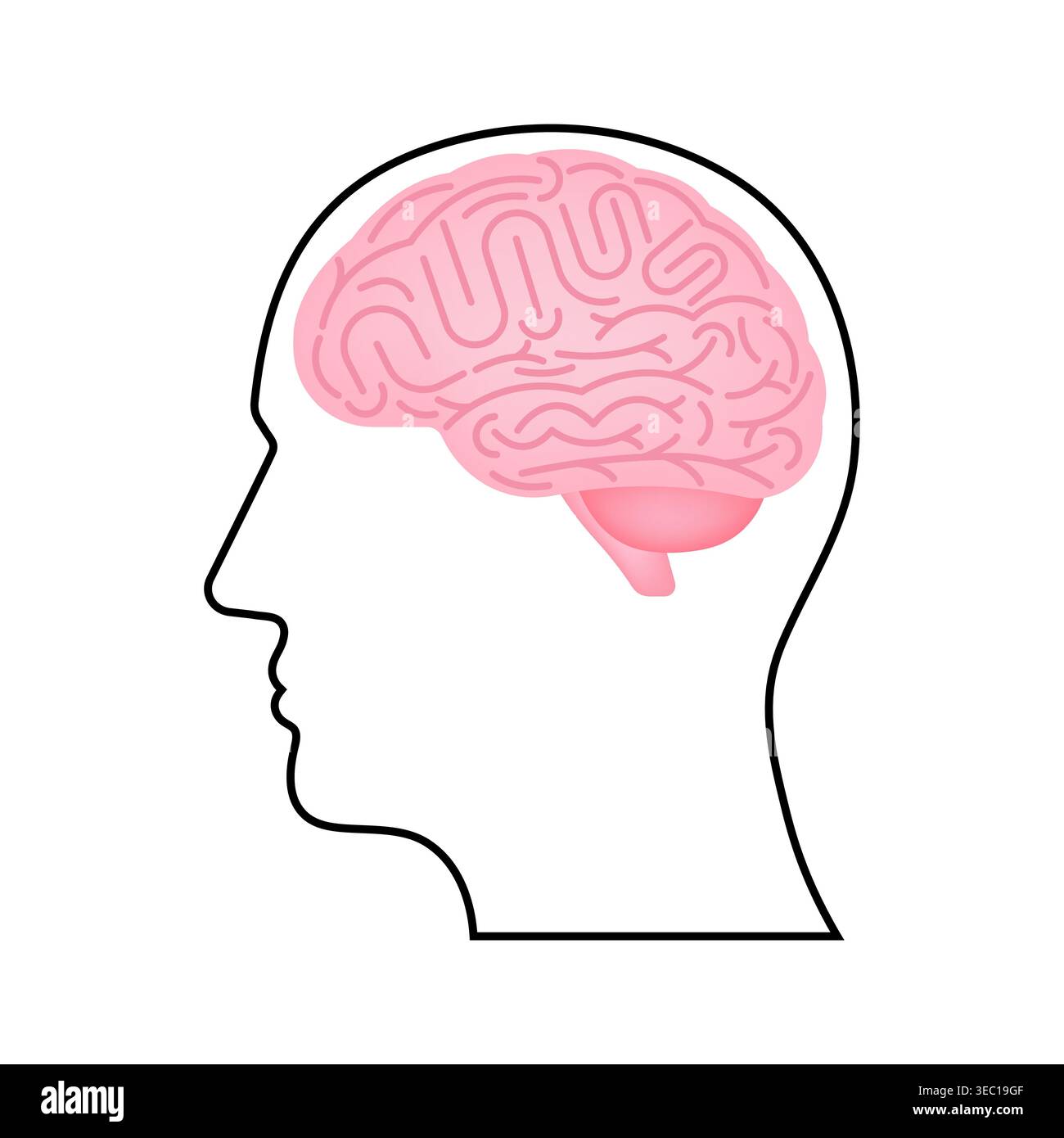 Brain. Head with Human Brain. Vector Illustration Isolated on White Background. Stock Vector