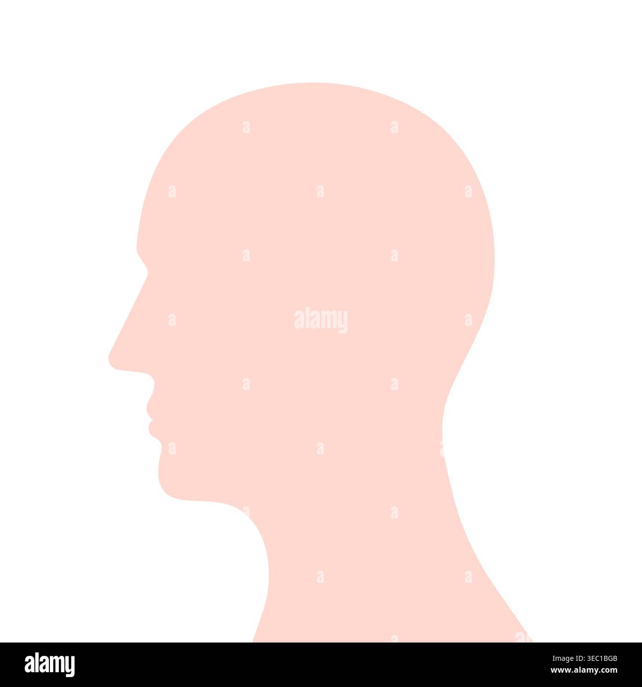 Human Head. Human Avatar. Vector Illustration. Stock Vector