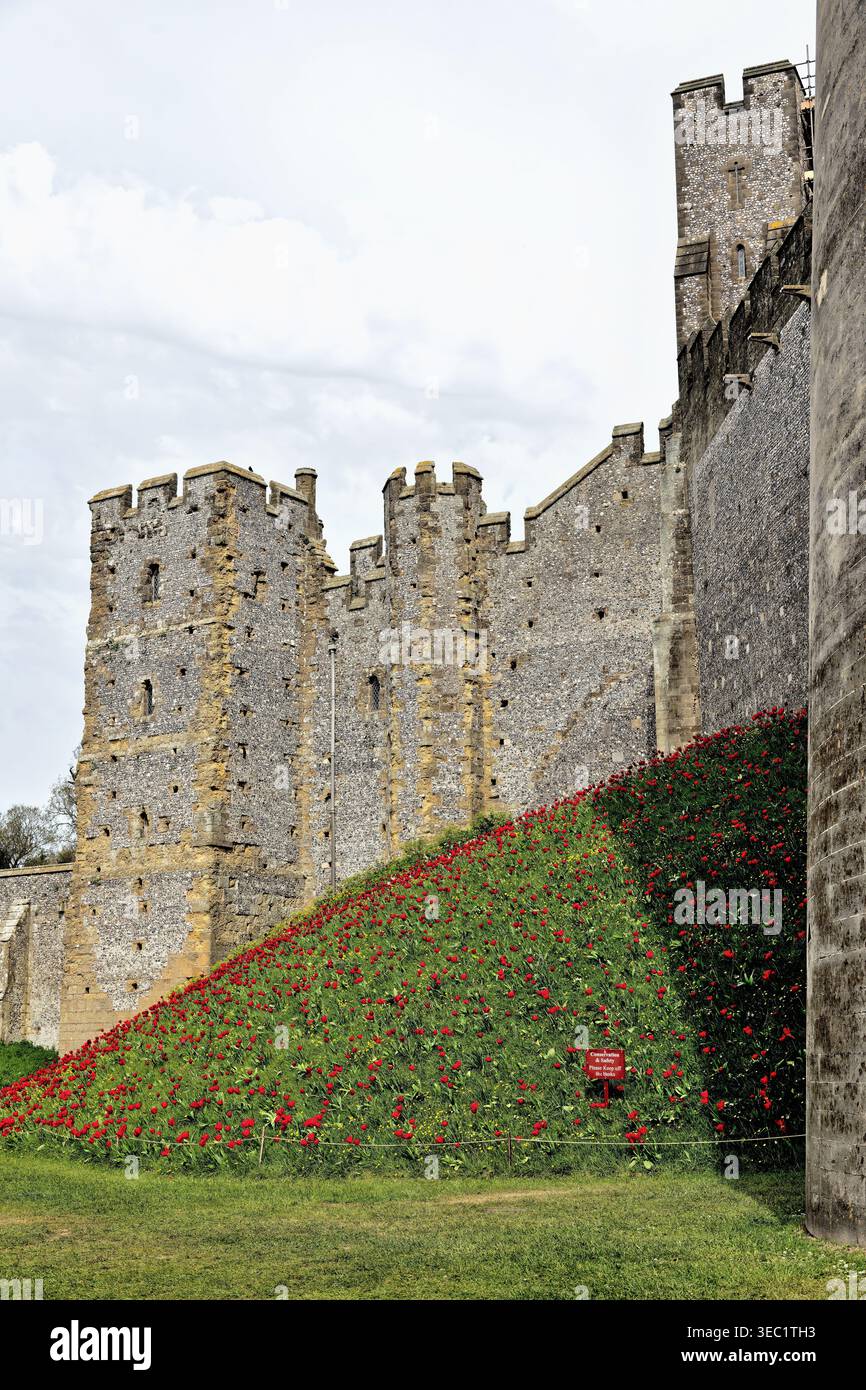 Arundel castle during the spring tulip festival West Sussex England UK Stock Photo