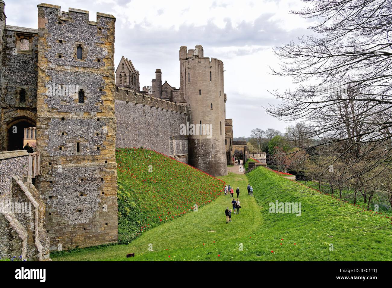 Arundel castle during the spring tulip festival West Sussex England UK Stock Photo