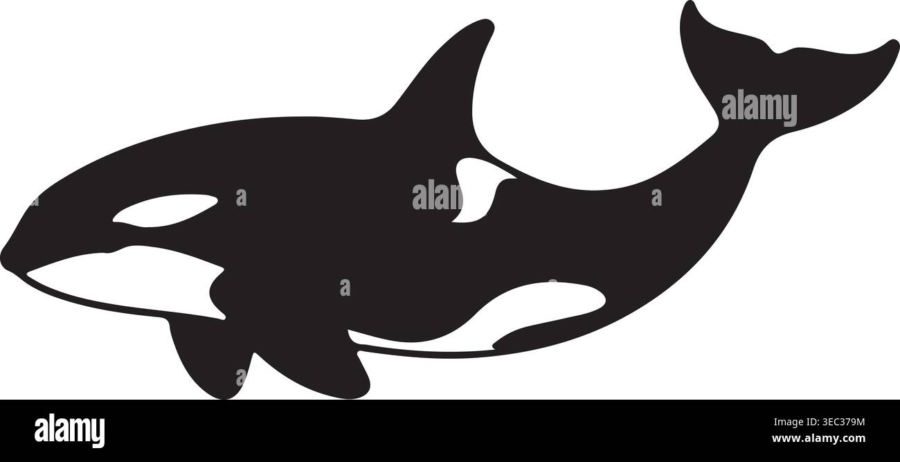 Majestic Killer Whale Orca Silhouette Vector Illustration Stock Vector