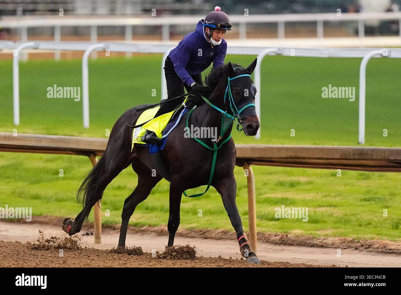 Kentucky Derby entrant Danon Bourbon works out at Churchill Downs ...