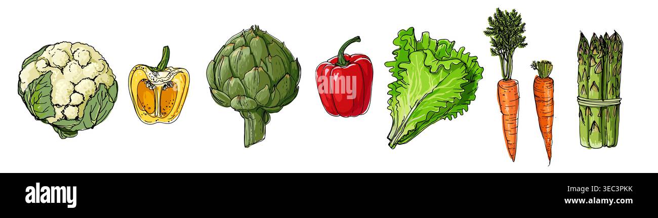 Hand Drawn line Vegetables Sketch Style Vector Set Stock Vector