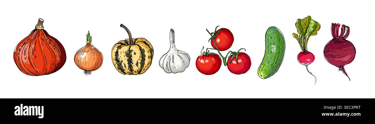 Hand Drawn line Vegetables Sketch Style Vector Set Stock Vector