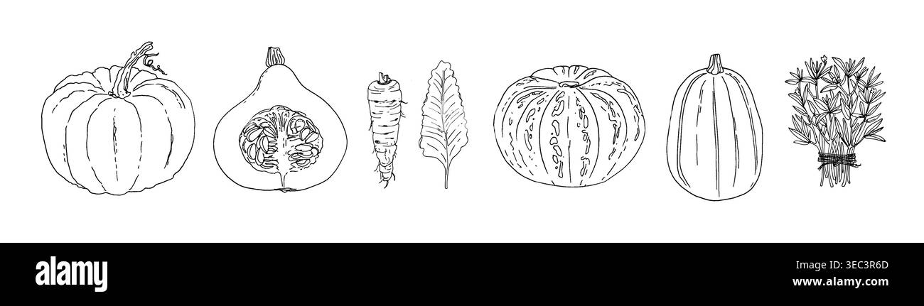 Hand Drawn line Vegetables - Sketch Style Vector Set Stock Vector