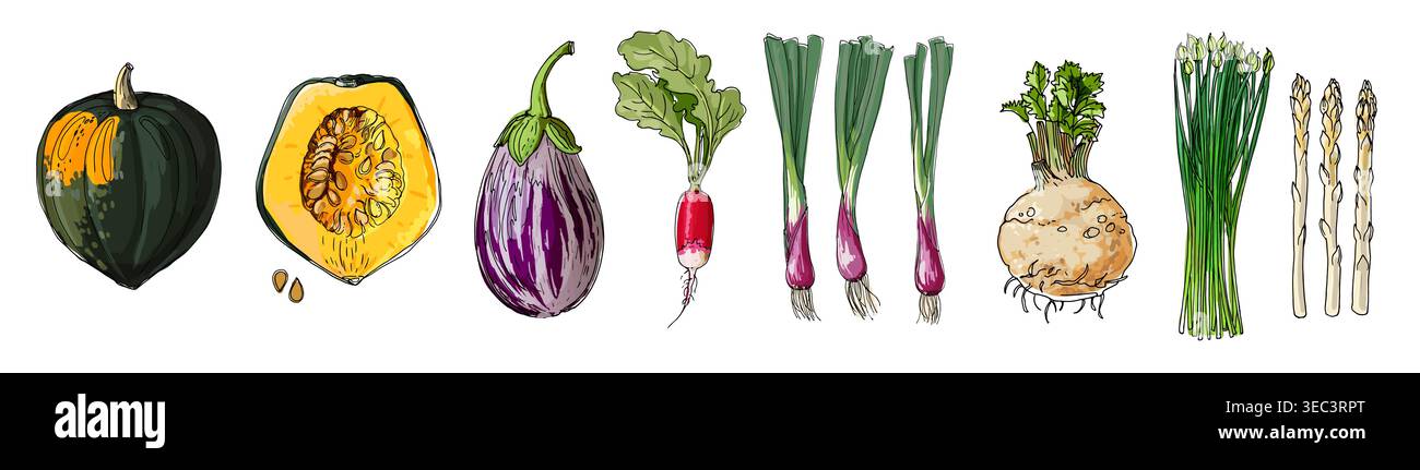 Hand Drawn line Vegetables Sketch Style Vector Set Stock Vector