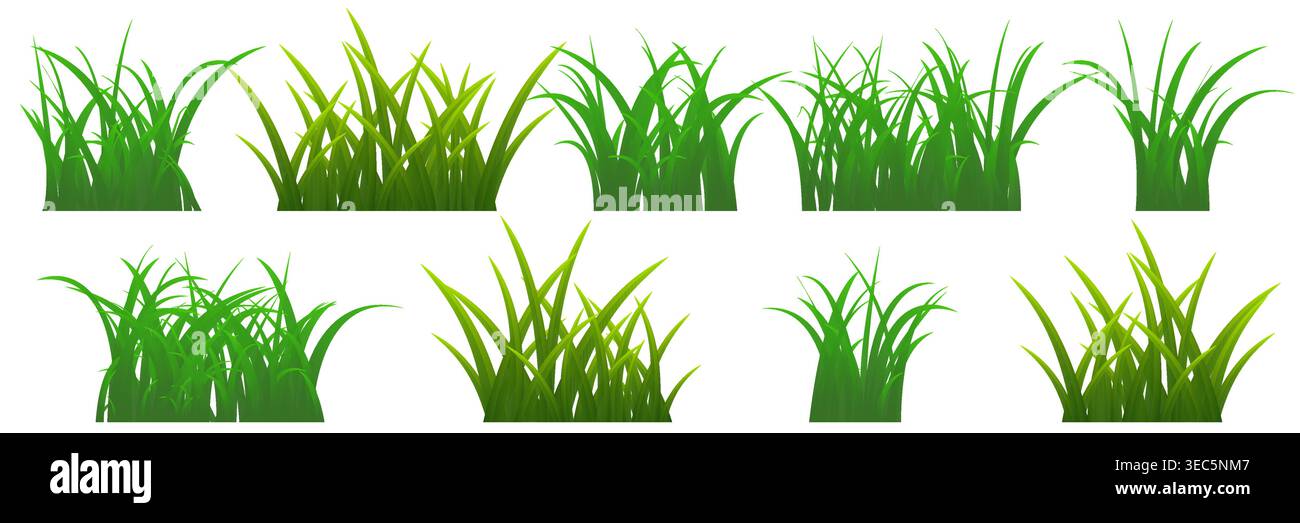 Green grass bushes and wild lawn plants isolated vector set with lush blades and meadow vegetation in cartoon style for spring garden landscape design Stock Vector