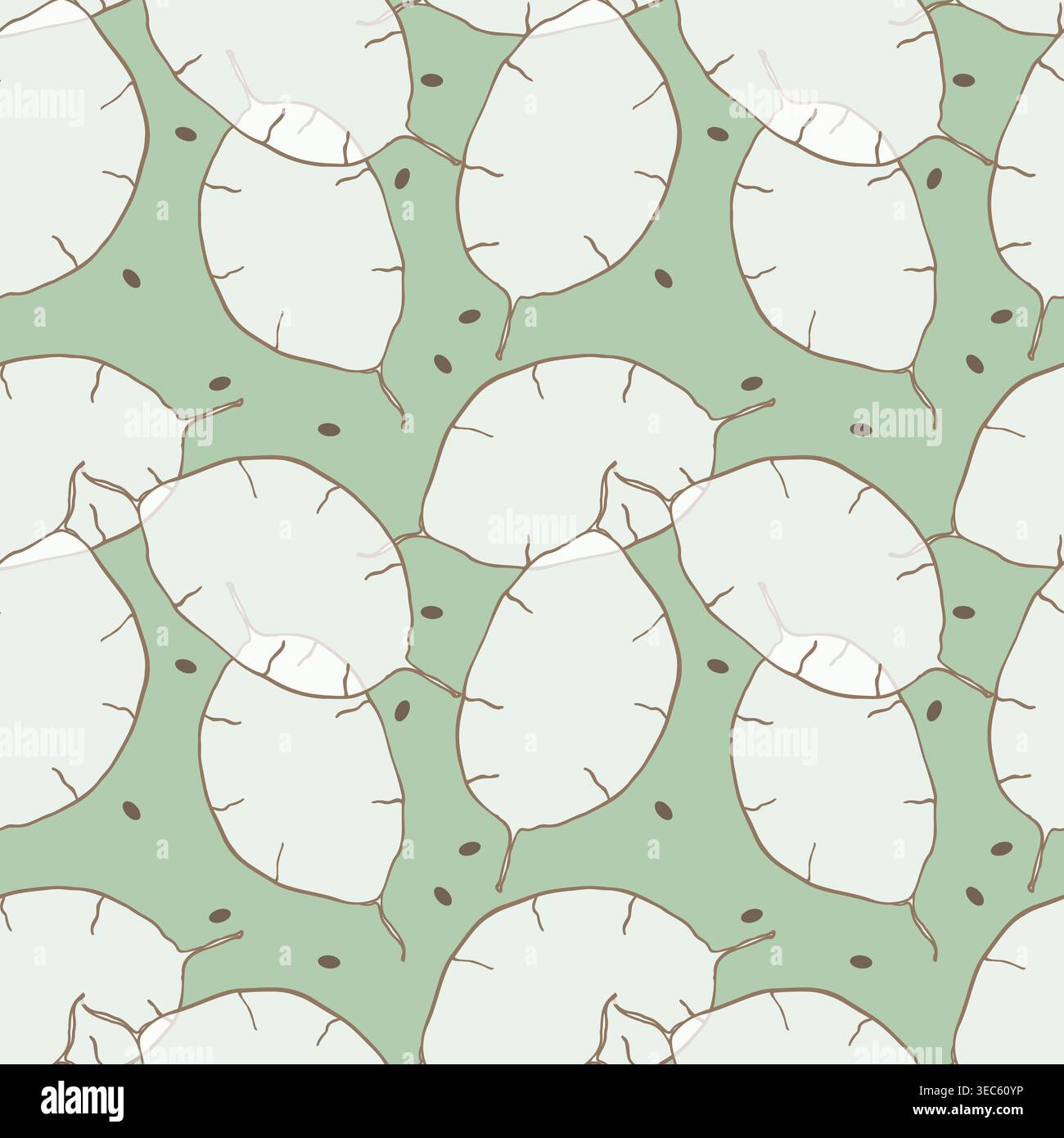 minimalist seamless pattern with light lunaria pods on soft green background, organic botanical illustration for eco-friendly packaging, nursery wallp Stock Vector