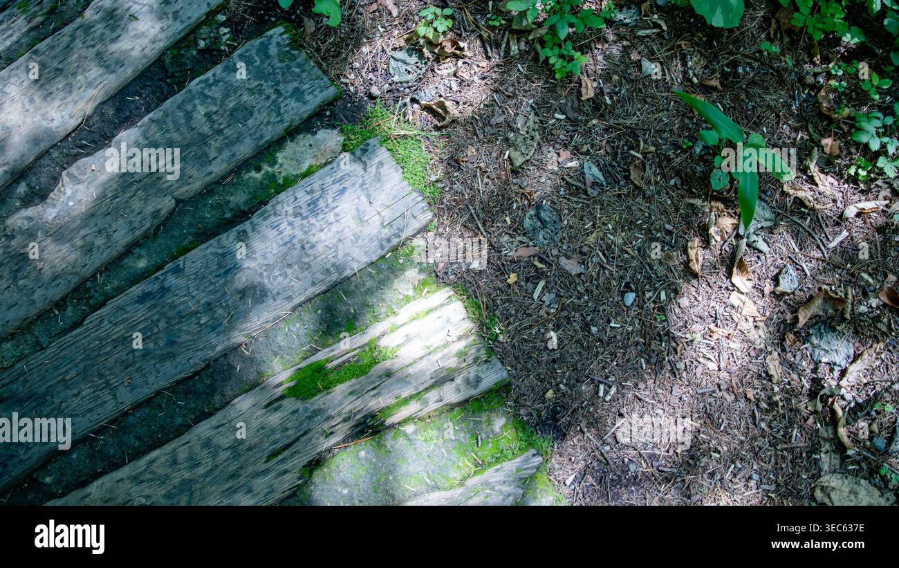 Overhead view of weathered wooden planks covered with moss on a forest floor in Karuizawa. Diagonal lines and rich organic texture create a strong abstract composition. Stock Photo