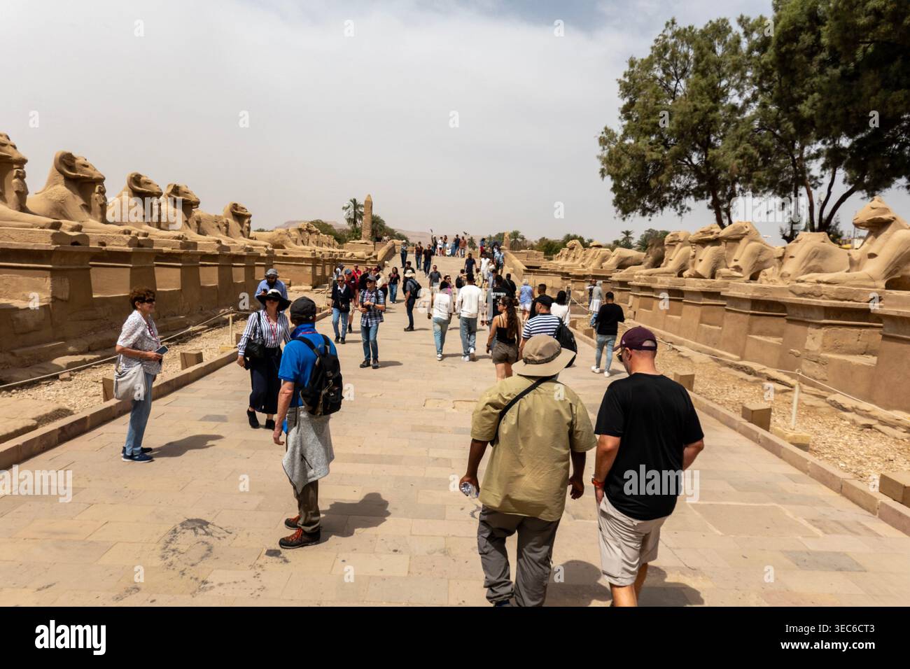 Processional routes hi-res stock photography and images - Alamy