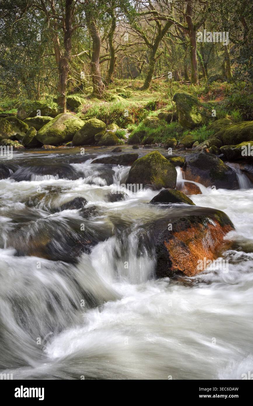 Rivecor Plm River Plym - Shaugh Bridge - Dartmoor National Park - Devon - England ...