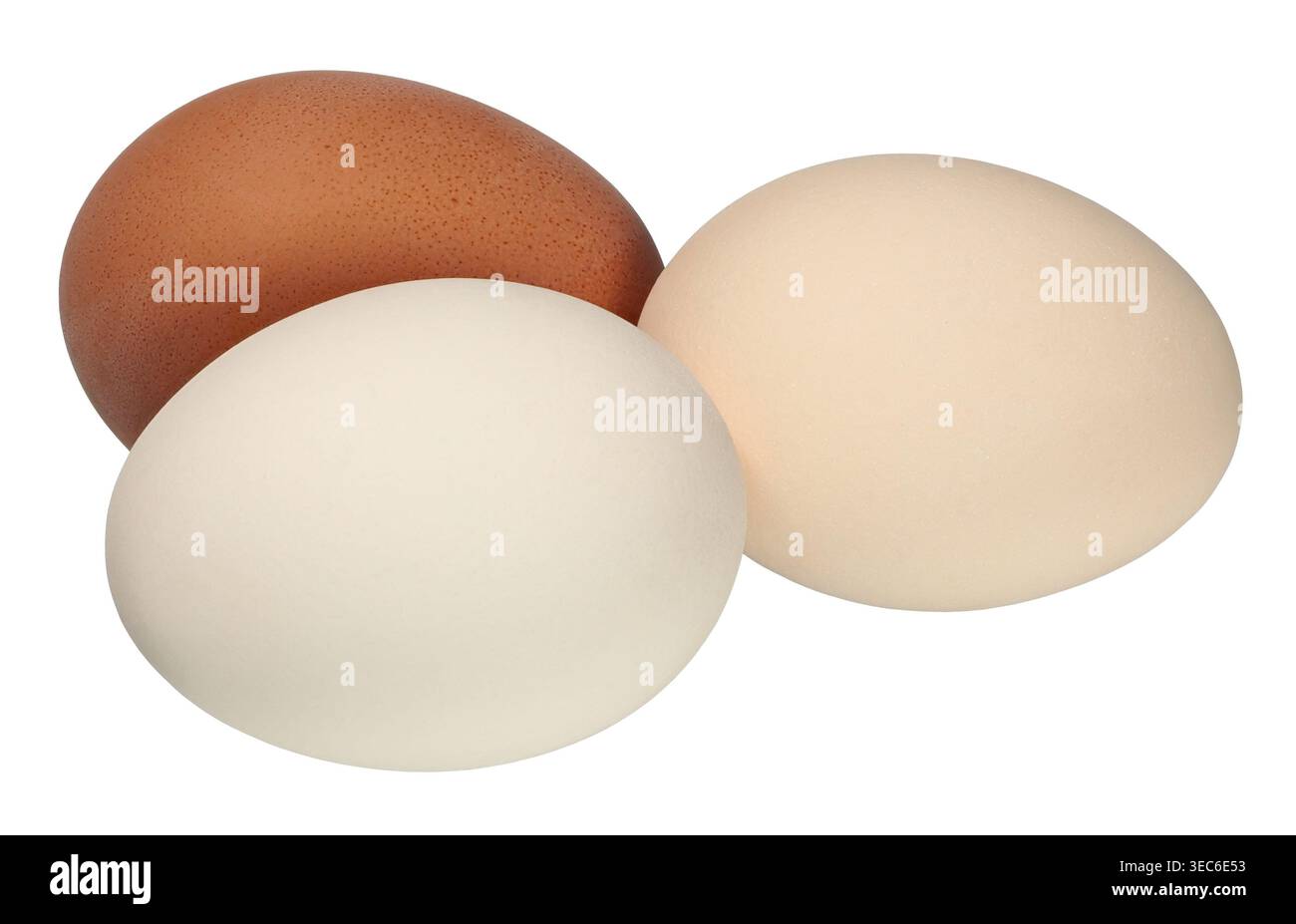 Three chicken eggs isolated on white background Stock Photo