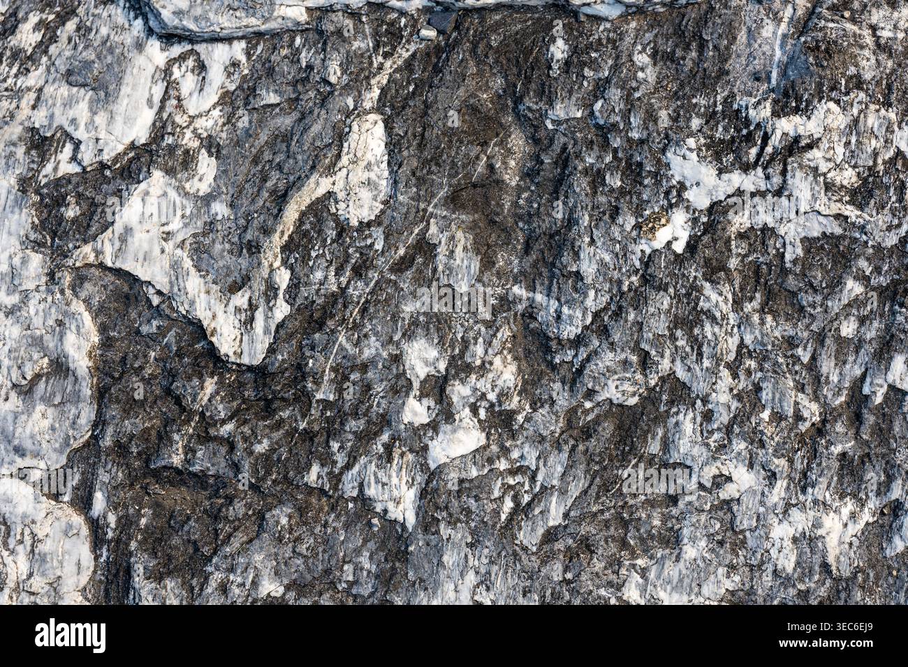 Natural dark stone texture surface background with dramatic rough white ...